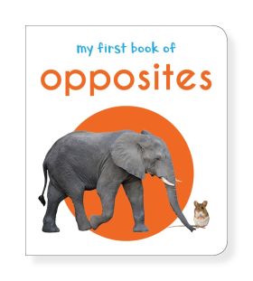Wonderhouse-My First Book Of Opposites: First Board Book