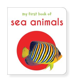 Wonderhouse-My First Book Of Sea Animals: First Board Book