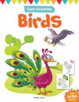 Wonderhouse-Little Artist Series Birds: Copy Colour Books