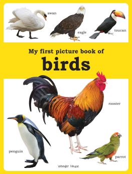 Wonderhouse-My first picture book of Birds: Picture Books for Children 