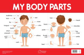 Wonderhouse-My Body Parts Chart - Early Learning Educational Chart For Kids: Perfect For Homeschooling, Kindergarten and Nursery Students (11.5 Inches X 17.5 Inches)