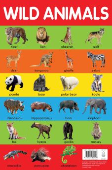 Wonderhouse-Wild Animals Chart - Early Learning Educational Chart For Kids: Perfect For Homeschooling, Kindergarten and Nursery Students (11.5 Inches X 17.5 Inches)