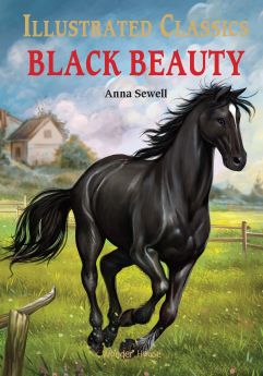 Wonderhouse-Illustrated Classics - Black Beauty: Abridged Novels With Review Questions (Hardback) 