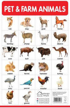Wonderhouse-Pet And Farm Animals - My First Early Learning Wall Chart: For Preschool, Kindergarten, Nursery And Homeschooling (19 Inches X 29 Inches)  