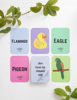 Early Buds-Coloured Birds Flashcards