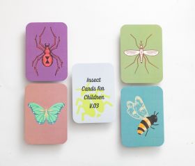 Early Buds-Coloured Insect Flashcards