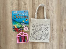 Little Canvas-DIY Colouring Little Mermaid Tote Bag