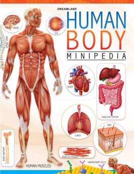 Dreamland Publications Human Body Minipedia