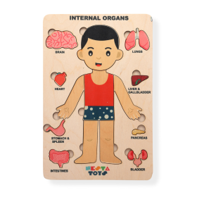 NESTA TOYS - Human Anatomy Montessori Puzzle