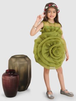 Jelly Jones  Emblished with Big Flower Dress-Green -3-4 Years