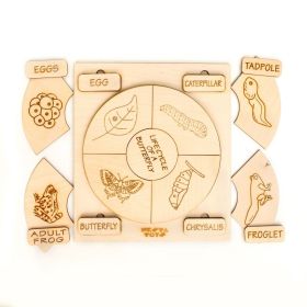 NESTA TOYS Montessori Life Cycle Puzzle | DIY Coloring Activity (36 Pieces) - Frog, Plant, Chicken & Butterfly
