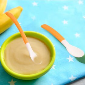 Baby Moo Orange Feeding Spoons Set Of 2-RK3704-ORANGE