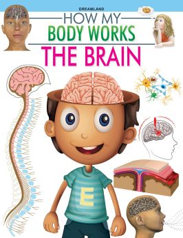 Dreamland Publications The Brain (How My Body Works)