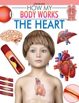 Dreamland Publications The Heart (How My Body Works)