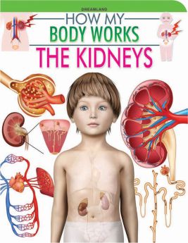 Dreamland Publications The Kidneys (How My Body Works)