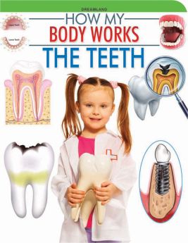 Dreamland Publications The Teeth (How My Body Works)